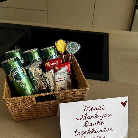 Neuf - 10 Minutes De Colmar - Parking Gratuit Apartamento